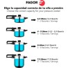 Pentola Express Fagor DUO Acciaio inossidabile 18/10 4 L 6 L