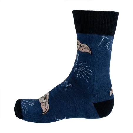 Set di Cancelleria Harry Potter Azzurro 3 Pezzi