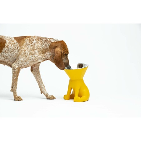 Ciotola per cani United Pets Elisabeth Yellow Acciaio inossidabile Polietilene 1 L