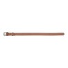 Collare per Cani Gloria Oasis Marrone (50 x 2,1 cm)
