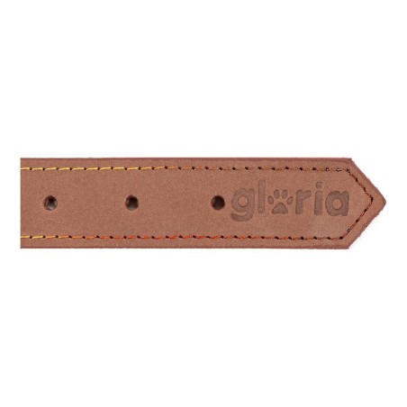 Collare per Cani Gloria Oasis Marrone (50 x 2,1 cm)