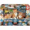 Puzzle Educa 18065 200 Pezzi
