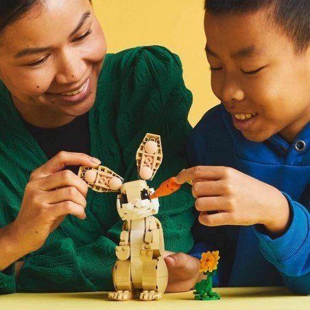 Set di Costruzioni Lego