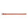 Collare per Cani Gloria Oasis Rosso (60 x 3 cm)