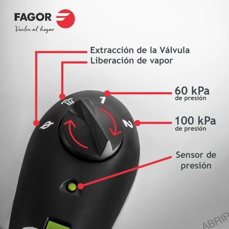 Set di pentole Express Fagor Acciaio inossidabile 10 L 2 Pezzi