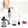 Frullatore ad Immersione Princess 01.221221.01.001 Nero 1000 W