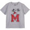 Maglia a Maniche Corte per Bambini Minnie Mouse Grigio 3 Anni