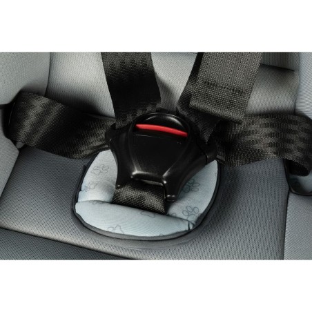 Seggiolino Auto Hilo CZ11032 9 - 36 Kg Grigio