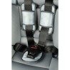 Seggiolino Auto Hilo CZ11032 9 - 36 Kg Grigio