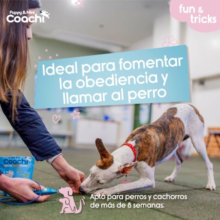 Imbracatura per Cani Coachi