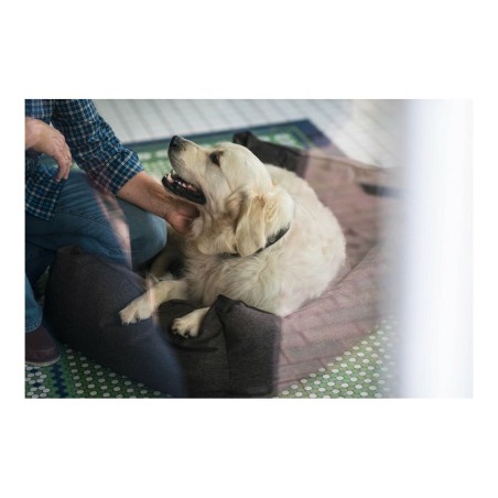 Divano per cani Hunter Boston 80x60 cm Marrone
