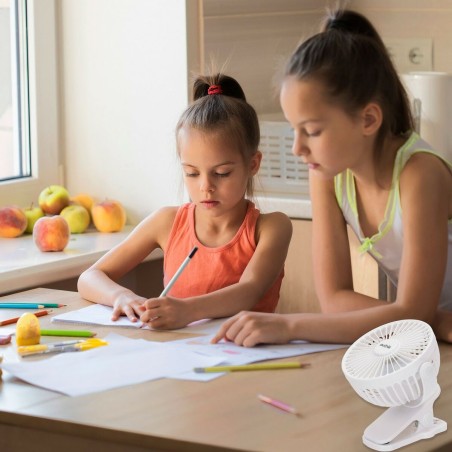 Ventilatore da Scrivania Ricaricabile Aktive (6 Unità)
