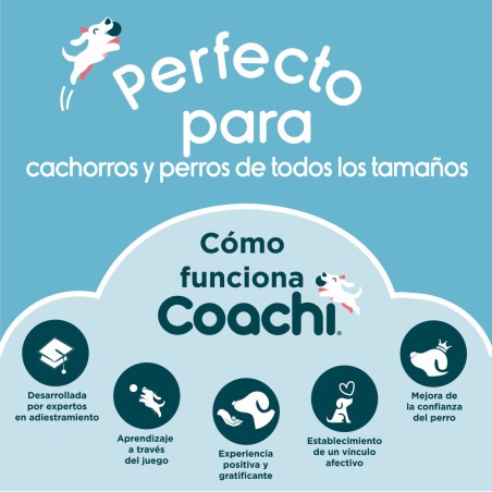 Giocattolo da allenamento Coachi Stick Azzurro