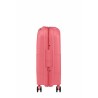 Bagaglio a Mano American Tourister Starvibe Spinner Rosa 41 L 55 x 40 x 20 cm