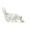 Ciotola per cani Hunter Silicone Acciaio inossidabile 350 ml