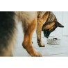 Ciotola per cani Hunter Silicone Acciaio inossidabile 350 ml