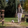 Guinzaglio per Cani DC Pets