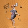 Felpa per Cani Marvel S