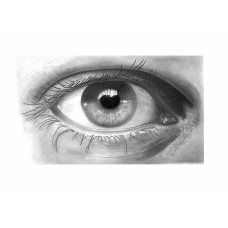 Matita Faber-Castell GoldFaber 1221 Esagonale 2H (12 Unità)