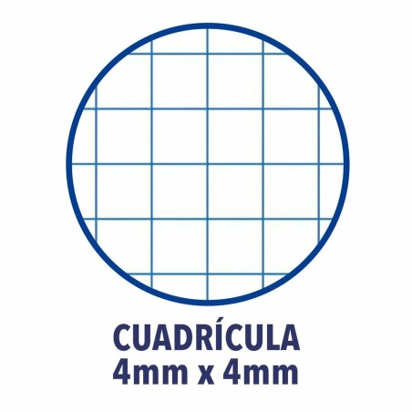 Quaderno Oxford Multicolore Din A4 80 Pagine 21,5 x 31,5 cm 5 Pezzi