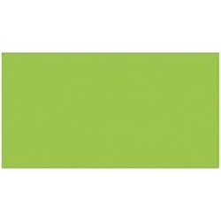 Cartoncini Iris Fluorescente Verde limone 50 x 65 cm