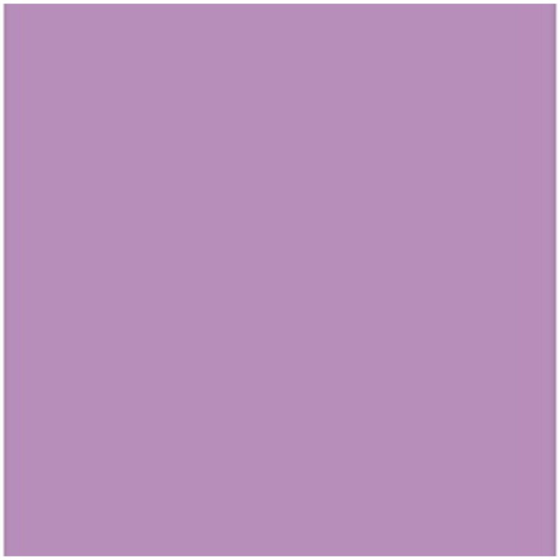 Cartoncini Iris Malva 50 x 65 cm Cartoncini Iris Malva 50 x 65 cm