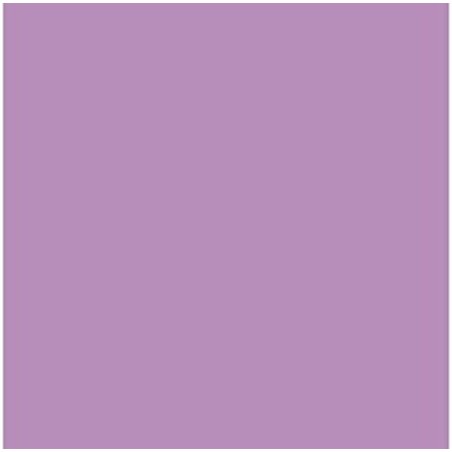 Cartoncini Iris Malva 50 x 65 cm