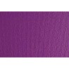 Cartoncini Sadipal LR Violetta 50 x 70 cm (20 Unità)