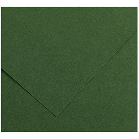 Cartoncini Iris Amazon Verde 50 x 65 cm