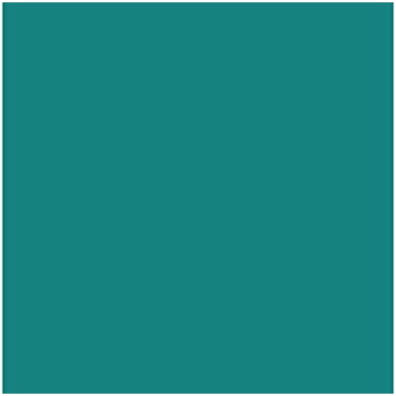 Cartoncini Iris Menta 50 x 65 cm Cartoncini Iris Menta 50 x 65 cm