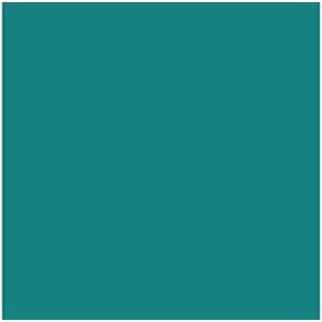 Cartoncini Iris Menta 50 x 65 cm