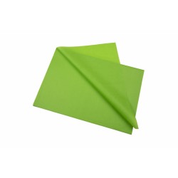 Carta velina Sadipal Verde 50 x 75 cm 520 Pezzi
