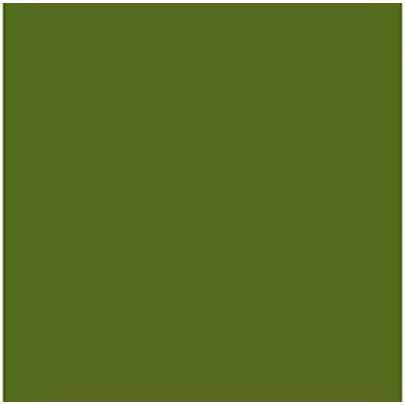 Cartoncini Iris Verde militare 50 x 65 cm Cartoncini Iris Verde militare 50 x 65 cm