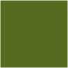 Cartoncini Iris Verde militare 50 x 65 cm