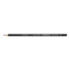 Matite colorate Staedtler Noris Colour WOPEX Grigio (12 Unità)