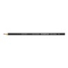 Matite colorate Staedtler Noris Colour WOPEX Grigio (12 Unità)