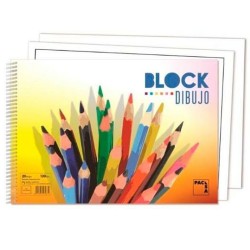 Blocco da disegno Pacsa 20 Fogli 33 x 23 cm Senza cornice
