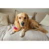 Giocattoli per cani Nylabone Rosa Bacon L