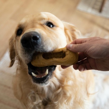 Giocattoli per cani Nylabone Marrone Burro Di Arachidi M