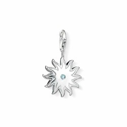 Charm da Donna Thomas Sabo DC0016-153-14 Grigio 30 mm