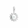Charm da Donna Thomas Sabo DC0016-153-14 Grigio 30 mm