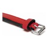 Collare per Cani Gloria Trapunta Rosso 40 cm (40 x 2 cm)