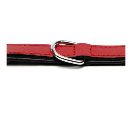 Collare per Cani Gloria Trapunta Rosso 40 cm (40 x 2 cm)