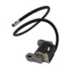 Batteria Pastormatic Vicino 15 x 9 x 10 cm