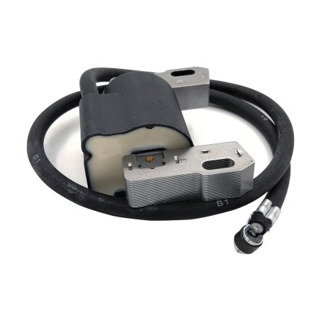Batteria Pastormatic Vicino 15 x 9 x 10 cm