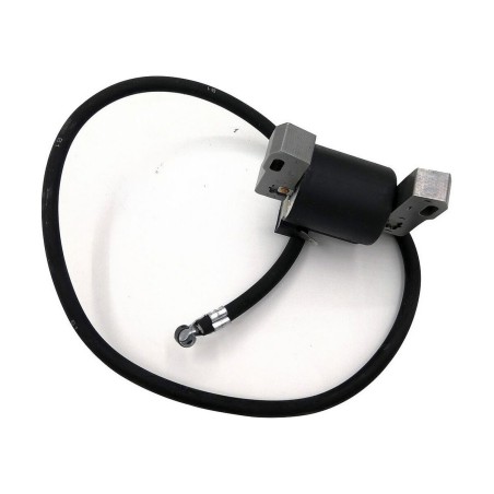 Batteria Pastormatic Vicino 15 x 9 x 10 cm