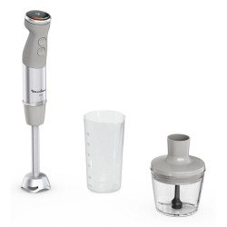 Frullatore ad Immersione Moulinex DD672B Acciaio 1000 W