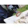 Disco Abrasivo Wolfcraft 1500000