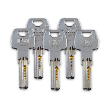 Chiavistello di sicurezza IFAM CS88 Metallo Acciaio