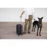 Set di valigie Numada Upfly Nero (3 Pezzi)